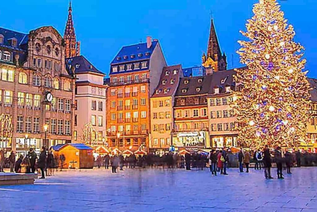 Cozy Rental Spa Schiltigheim Zewnętrze zdjęcie