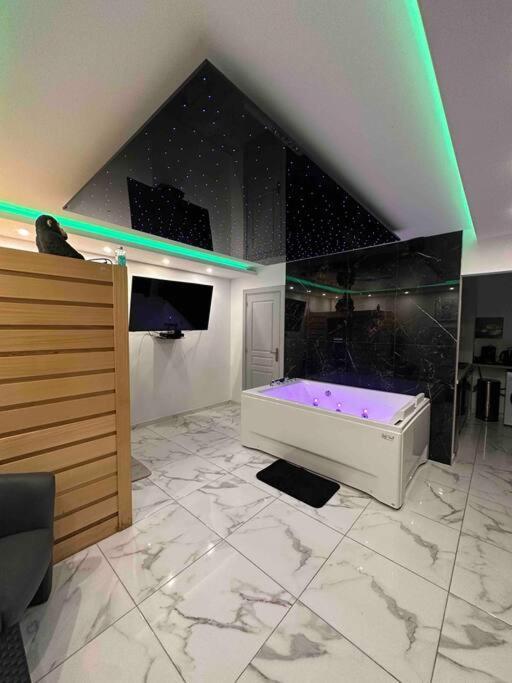 Cozy Rental Spa Schiltigheim Zewnętrze zdjęcie